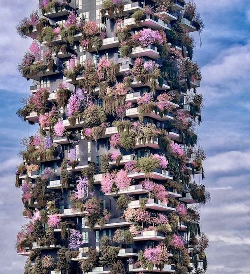 edificio con flores