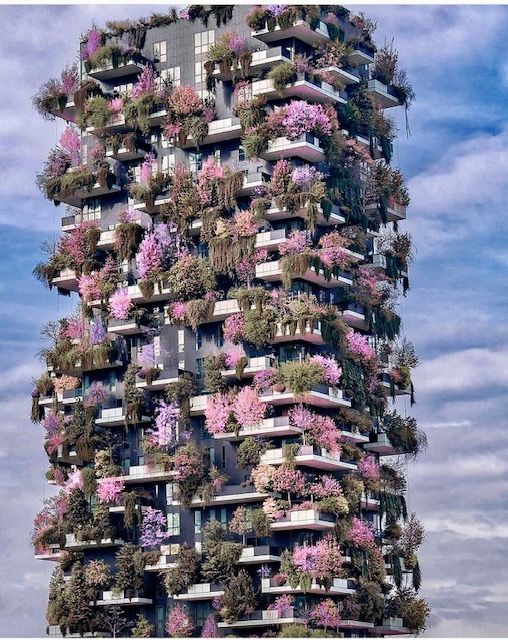 edificio con flores